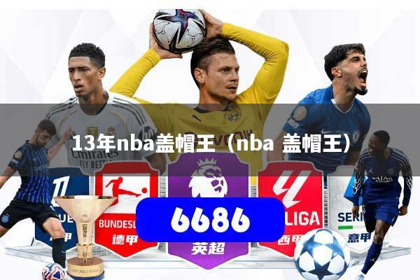 13年nba盖帽王（nba 盖帽王）